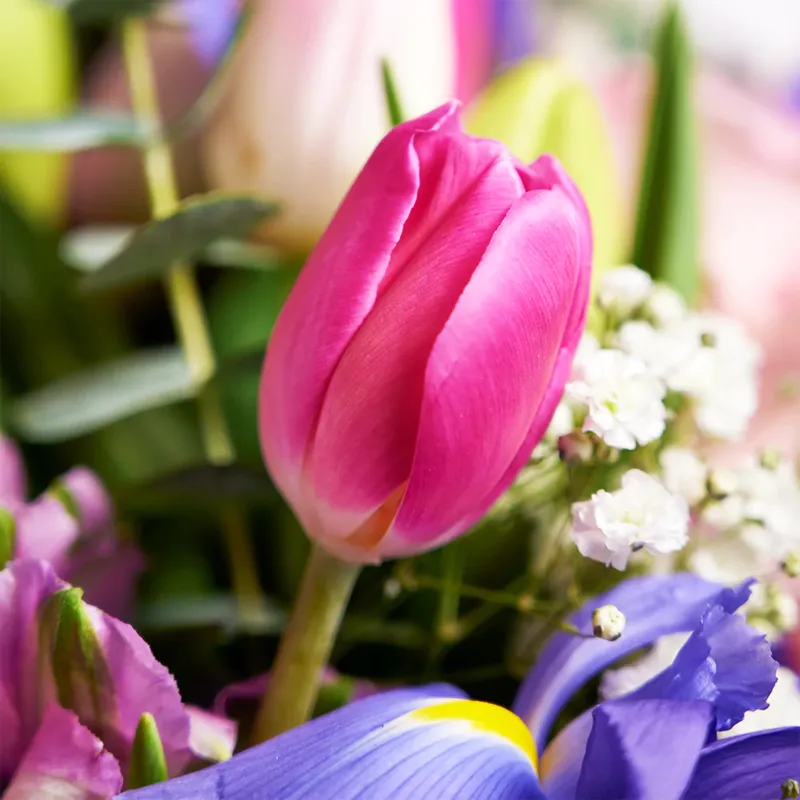 Букет Стаккато